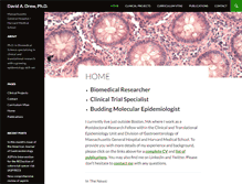 Tablet Screenshot of davidadrew.com